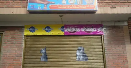 EL REYNO DE LAS MASCOTAS BOGOTÁ EL REYNO DE LAS MASCOTAS BOGOTÁ